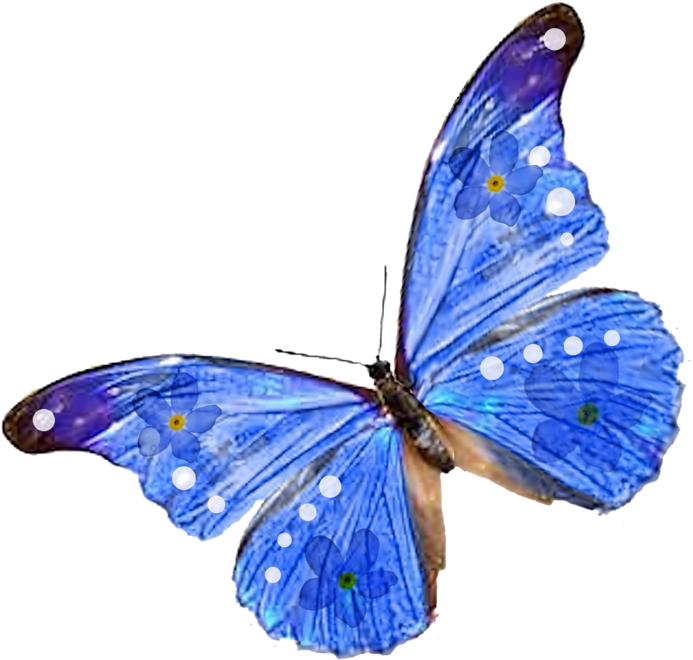 Blue Butterfly Png - De Papillon Qui Bouge (774x800), Png Download