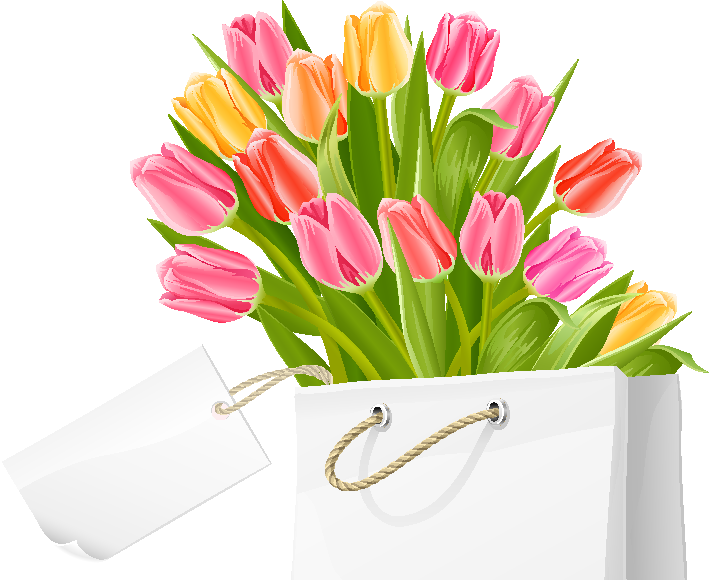 Freeuse Download Invitation Tulip Flower Clip Art White - Tulip Flowers (709x580), Png Download
