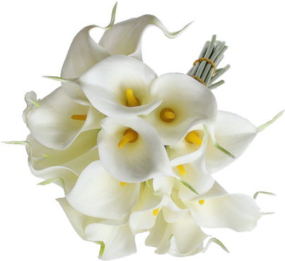 Eforcase Refreshing Calla Lily Bridal Wedding Bouquet - Transparent Calla Lily Bouquet Png (480x480), Png Download