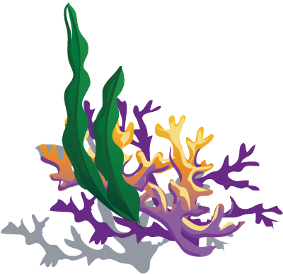 Coral Reefs Png - Coral Reef Cartoon Png (500x500), Png Download