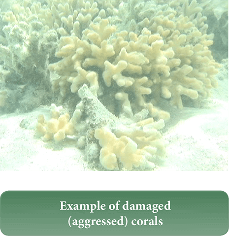 It Is Then Our Duty And Conscience To Preserve The - Sea (465x479), Png Download