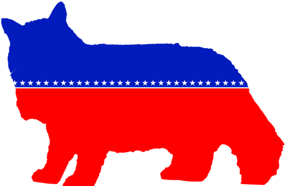 Dank Memes Party - Cat (640x387), Png Download