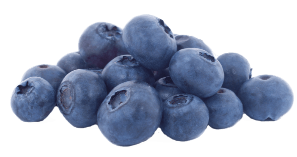Blueberry Png Pic - Blueberry (794x344), Png Download