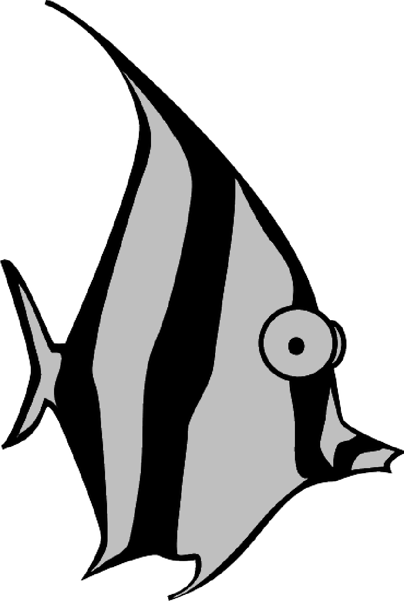 Mb Image/png - Angel Fish Cartoon (800x1190), Png Download