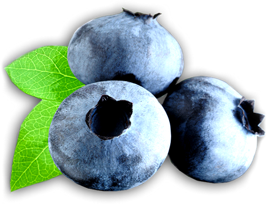 Iphone - Blueberry (524x400), Png Download