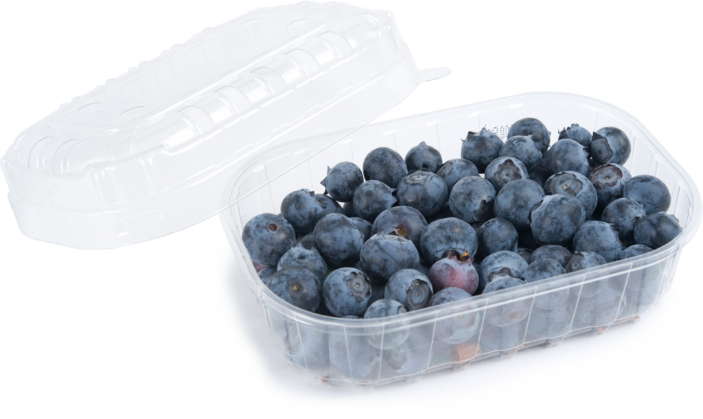 C - Tarrinas De Arandanos (1024x611), Png Download