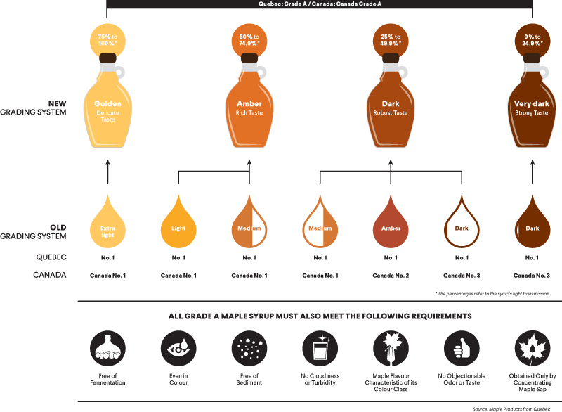 And Has A Maple Flavour Characteristic Of Its Colour - Maple Syrup Process (800x586), Png Download