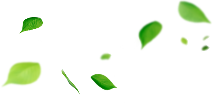 Leafs Png (682x330), Png Download