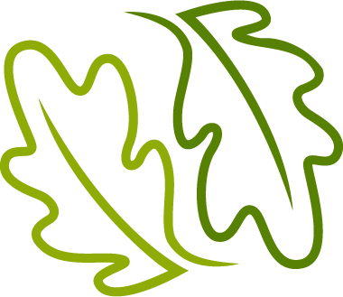 Logo-leafs - Oakeson Steiner Wealth & Retirement (380x329), Png Download