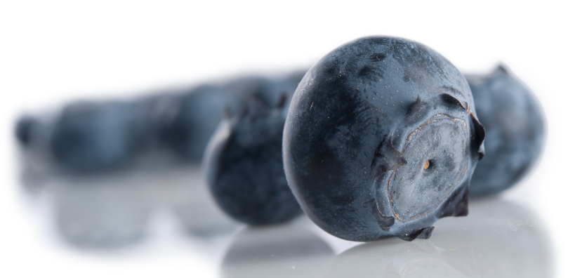 Blueberries - Bilberry (1024x395), Png Download