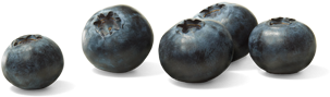 Blueberries - Gif (358x360), Png Download