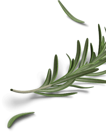 Drake & Wallace Dentistry - Grass (362x452), Png Download