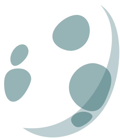 Circle (500x572), Png Download