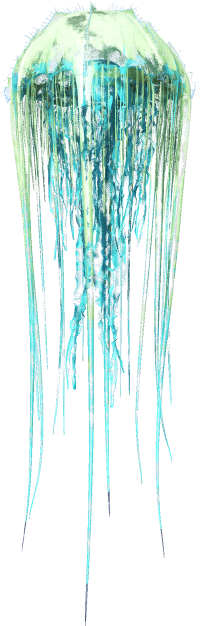 Cnidaria - Ark Survival Evolved Jellyfish (400x1251), Png Download