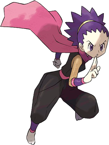 Poison Gym Leaders (392x504), Png Download