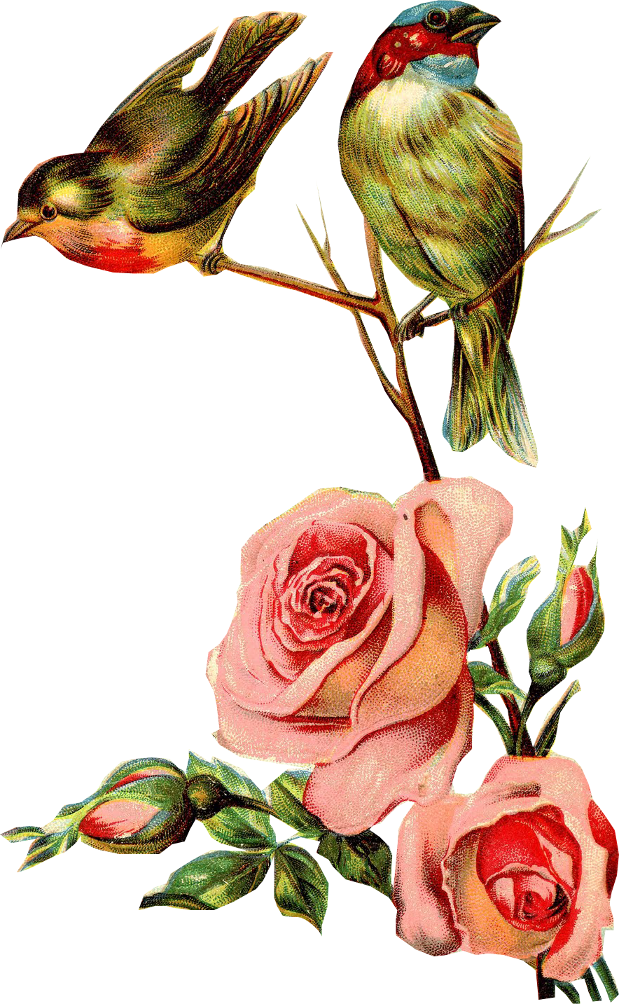 Resultado De Imagen Para Ramos De Flores Vintage Para - Ramos De Flores Y Pajaritos (884x1433), Png Download