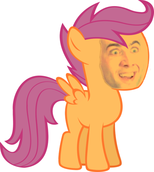 Agreed - - Pony Friendship Is Magic Scootaloo (500x558), Png Download