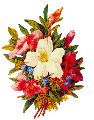 Algunas Imágenes Png Más Para Vuestros Collages Digitales - Hübsche Antike Blumen U. Vogel Karte (335x400), Png Download