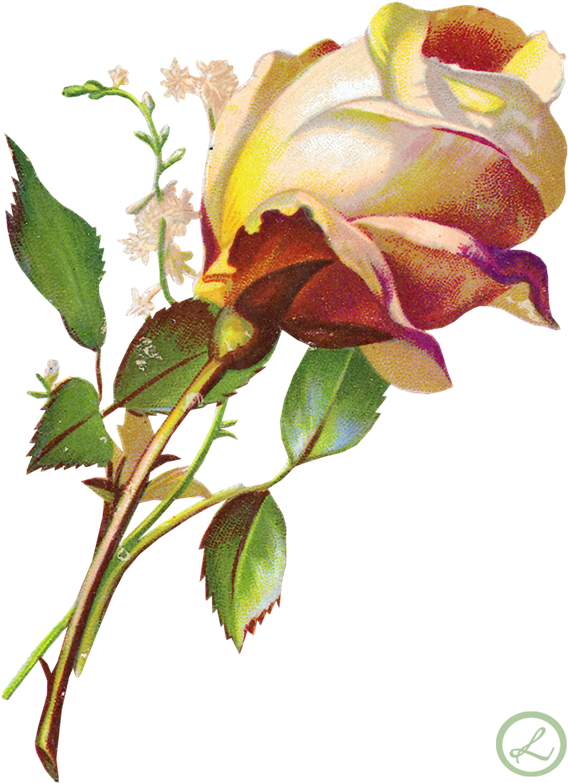 Vintage Flores - Ecstasy Crafts 3-d Precut Sheet - Flowers Yellow Roses (598x800), Png Download