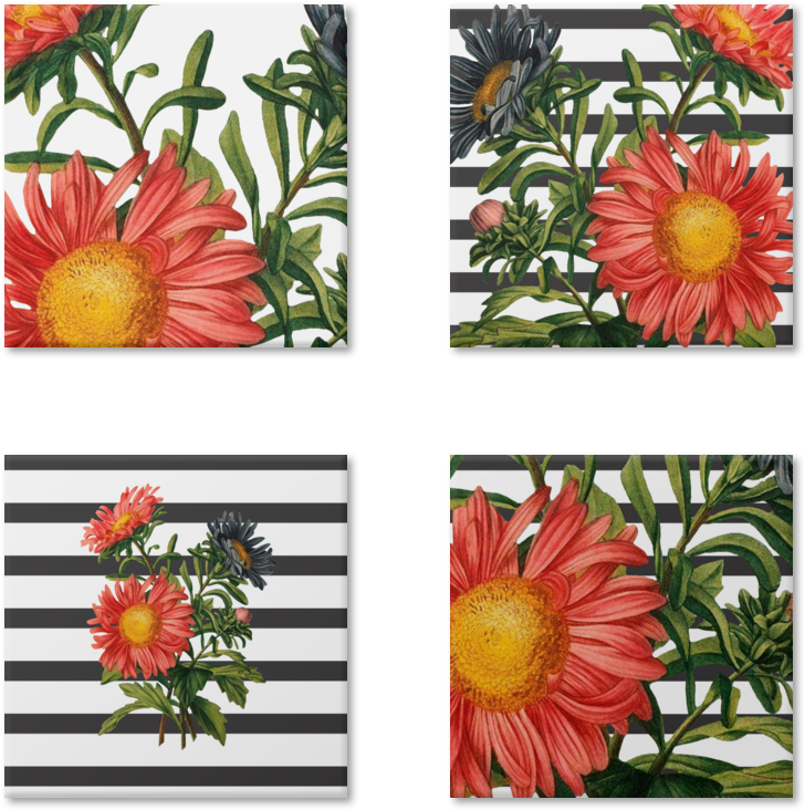 Magneto As Flor De Thaís Gijonna - Flower (800x800), Png Download