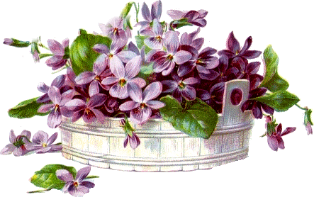 Flores Vintage, Vitorianas, Em Png, Ideal Para Colagens - Blahoželanie K Meninám Peter (443x278), Png Download
