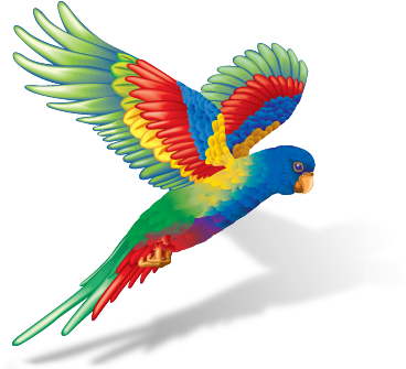 Flying Colours Printing (500x334), Png Download