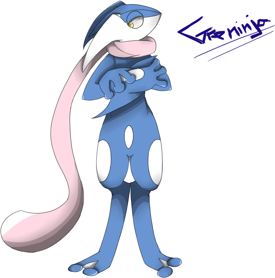 Pokemon X And Y Greninja (1000x900), Png Download