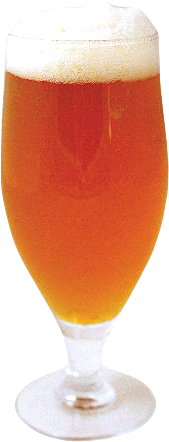 Kingfisher Beer Png (794x1600), Png Download