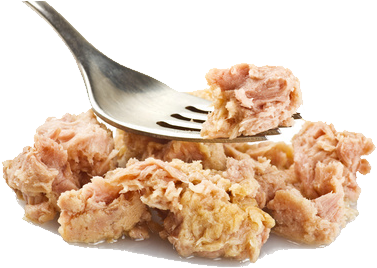 Omega-3 Fatty Acid Is Able To Stimulate A Hormone Called - Substitute For Tuna (426x282), Png Download