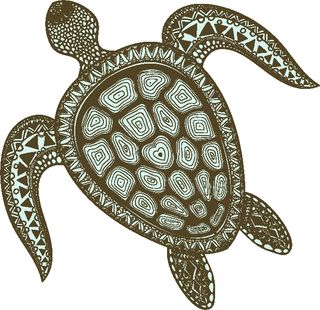 Turtle-friendly Lighting From Encapsulite - Coloring Books For Adults Relaxation Animals (659x638), Png Download