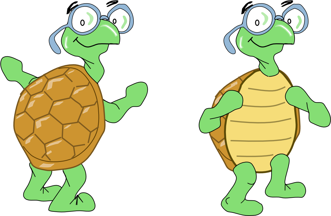 Turtles - Turtle (1189x758), Png Download