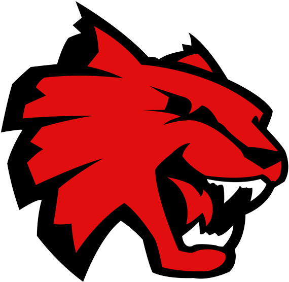 Central Washington University Athletics Logo (600x599), Png Download