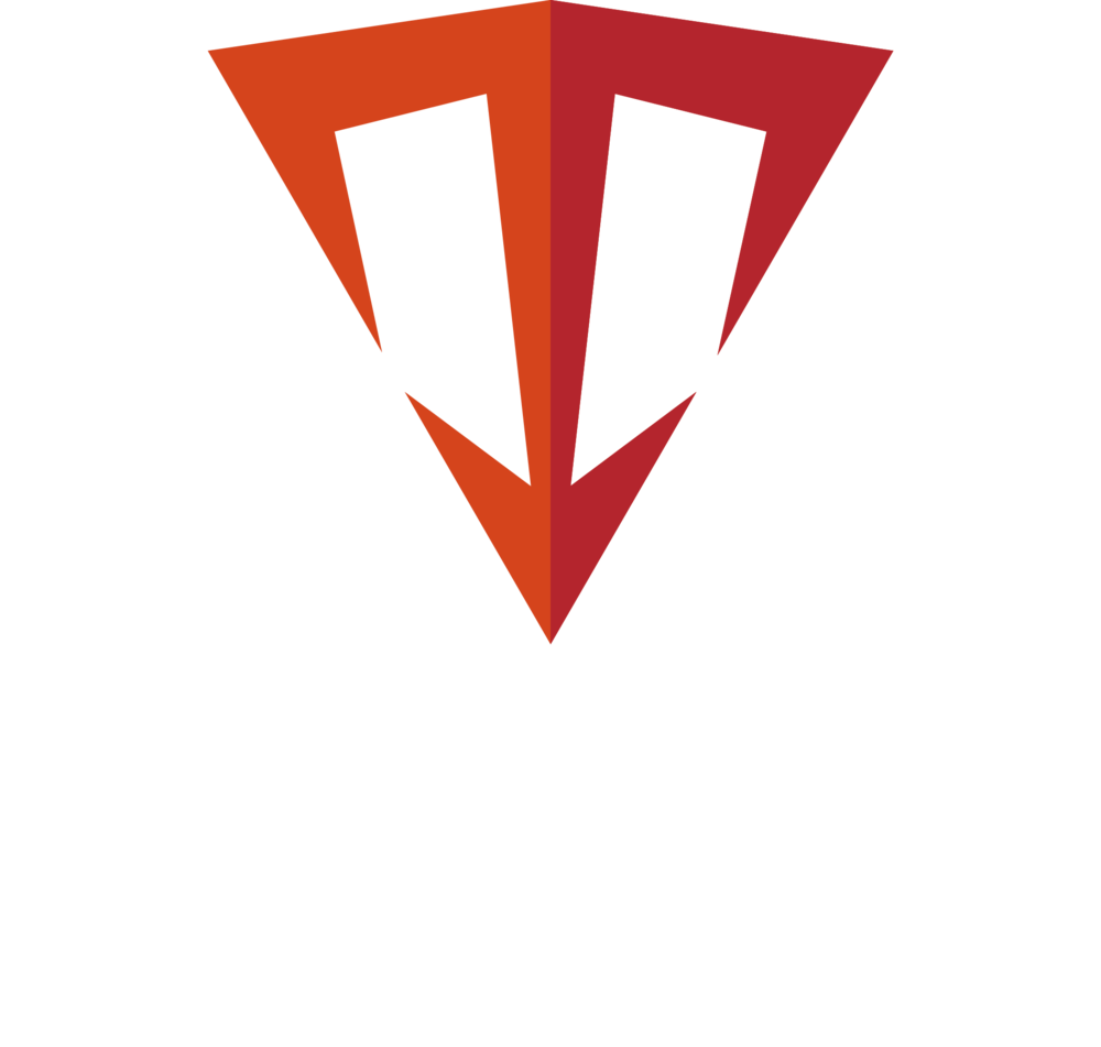 Logowhitetext1 - Triton Innovation Inc. (1000x951), Png Download