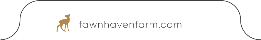 Favicon Fawn Haven - Giraffe (1000x500), Png Download
