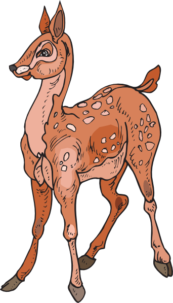 Png V - Biche Vectorielle (342x597), Png Download