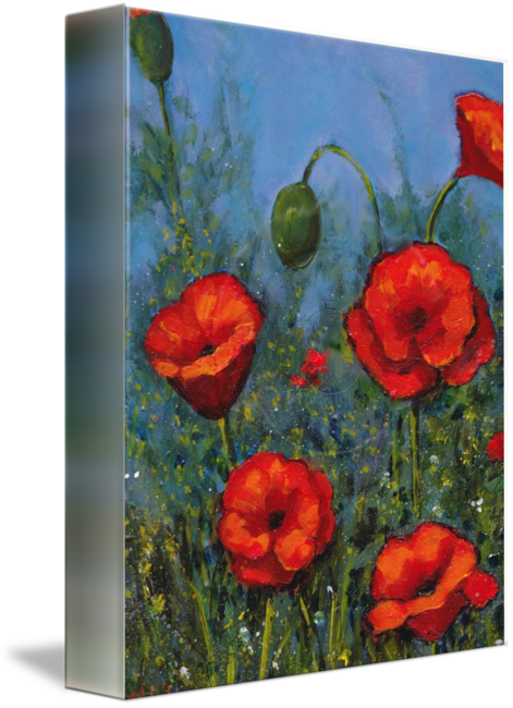 "red Poppies Flowers" By Joyce Geleynse, Inkerman // - Rote Mohnblumen, Handgemalte, Blumenkunst Grußkarte (471x650), Png Download