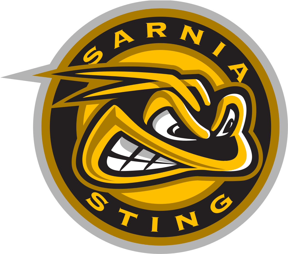 Sarnia Sting Logo Png (1200x1068), Png Download