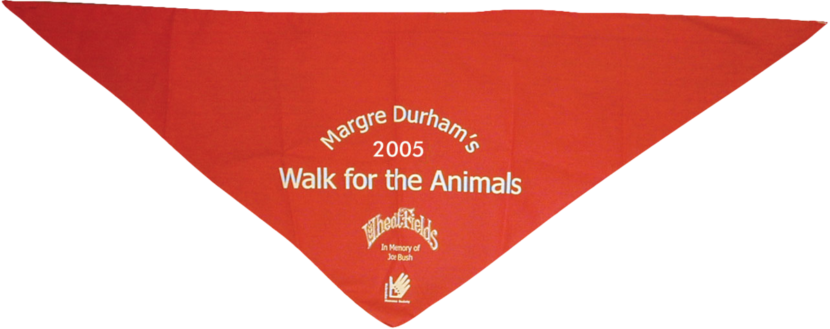 Triangle Bandana - Flag (1200x476), Png Download