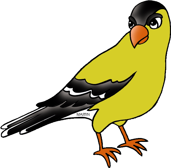 Flower Of New Jersey - Washington State Bird Png (648x624), Png Download