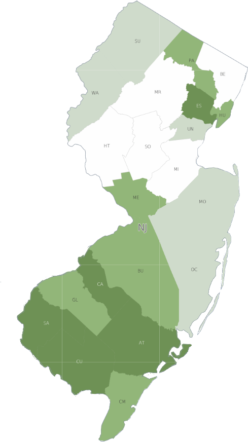 New Jersey Silhouette (523x925), Png Download