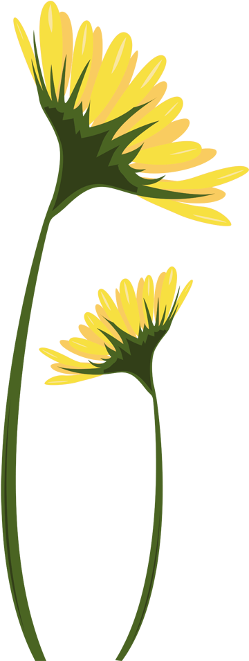 Yellow Daisies Decal - Margaritas Amarillas Dibujos (374x954), Png Download