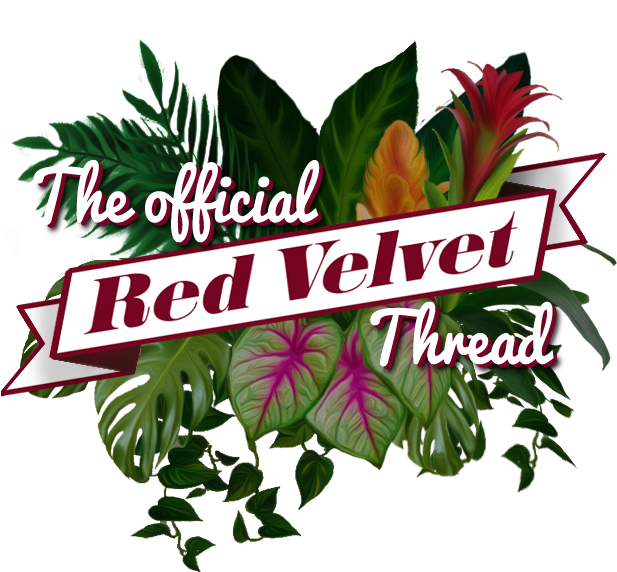 Red Velvetimage - Red Velvet Happiness Background (620x600), Png Download