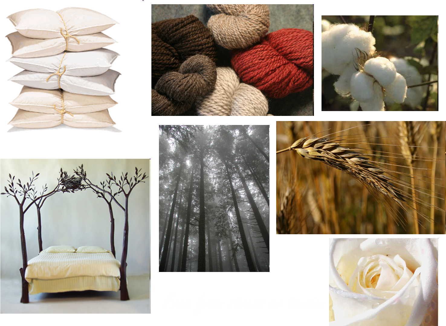 Comfort N - - Canopy Bed (1552x1081), Png Download