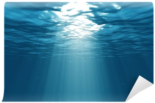 Light Underwater In The Ocean Wall Mural - Finding Dory Wallet And Sling Bag By Sugarbox (400x400), Png Download
