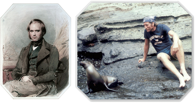 Watercolor Portrait Of Charles Darwin By G - Charles Darwin (648x340), Png Download