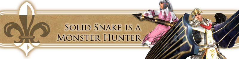 We - Monster Hunter Portable 3rd (800x200), Png Download