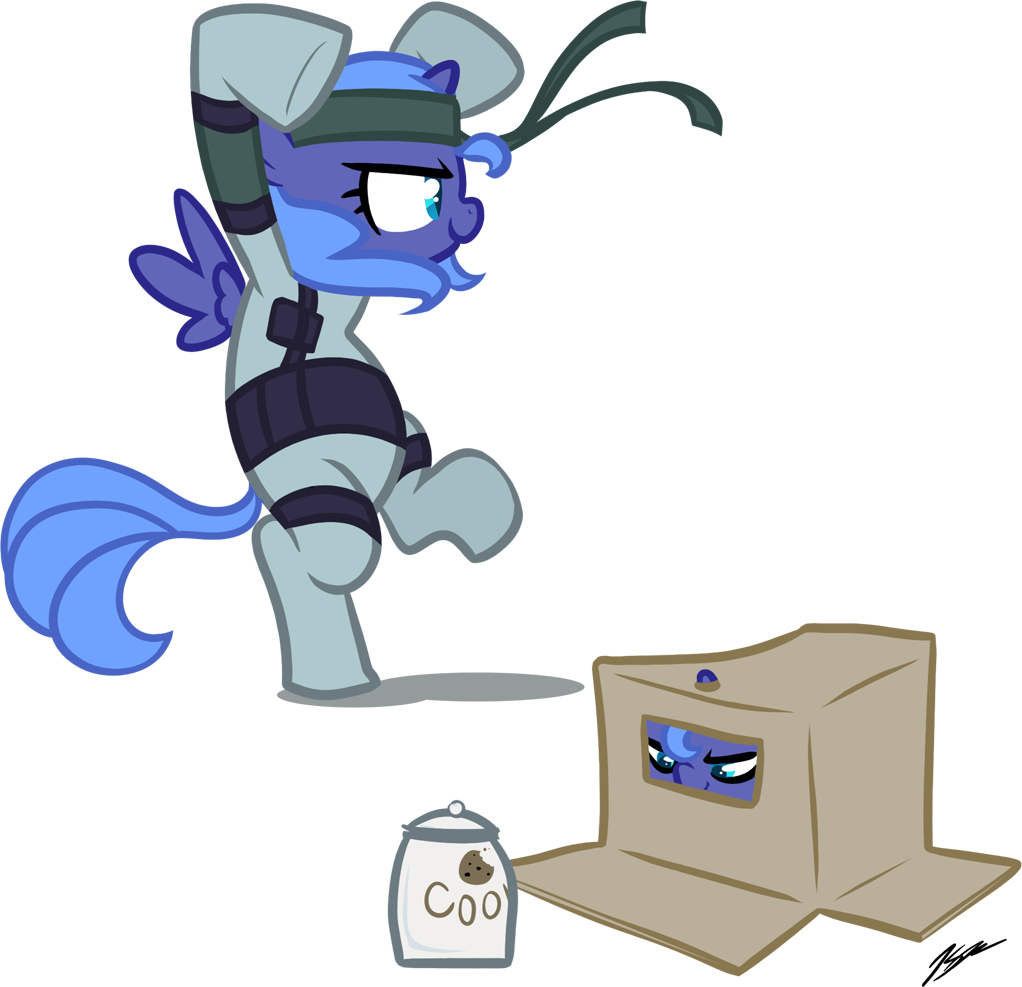 Egophiliac, Cardboard Box, Cookie, Cookie Jar, Cosplay, - Metal Gear Luna (1022x987), Png Download
