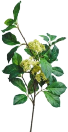 Pin By Viktoria Wolf On Styler - Mood Board (316x460), Png Download