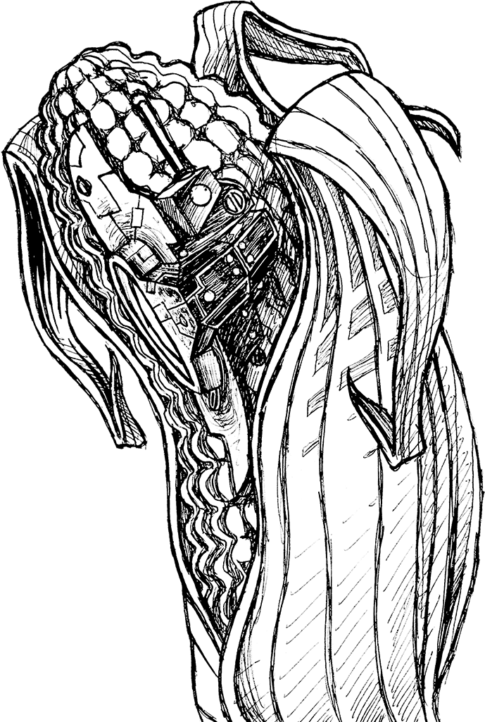 Project First Angry - Navajo Corn Drawing (1024x1024), Png Download