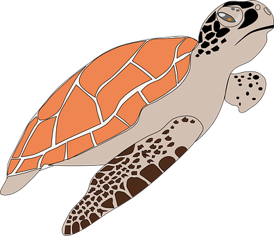 Sea Turtle Animal Wildlife Turtle Sea Tort - Loggerhead Sea Turtle Clip Art (395x340), Png Download